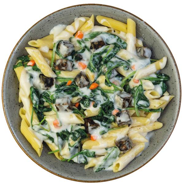 TK Planet V BIO Penne mit Spinatsauce und Tempeh - nur für internen Verzehr